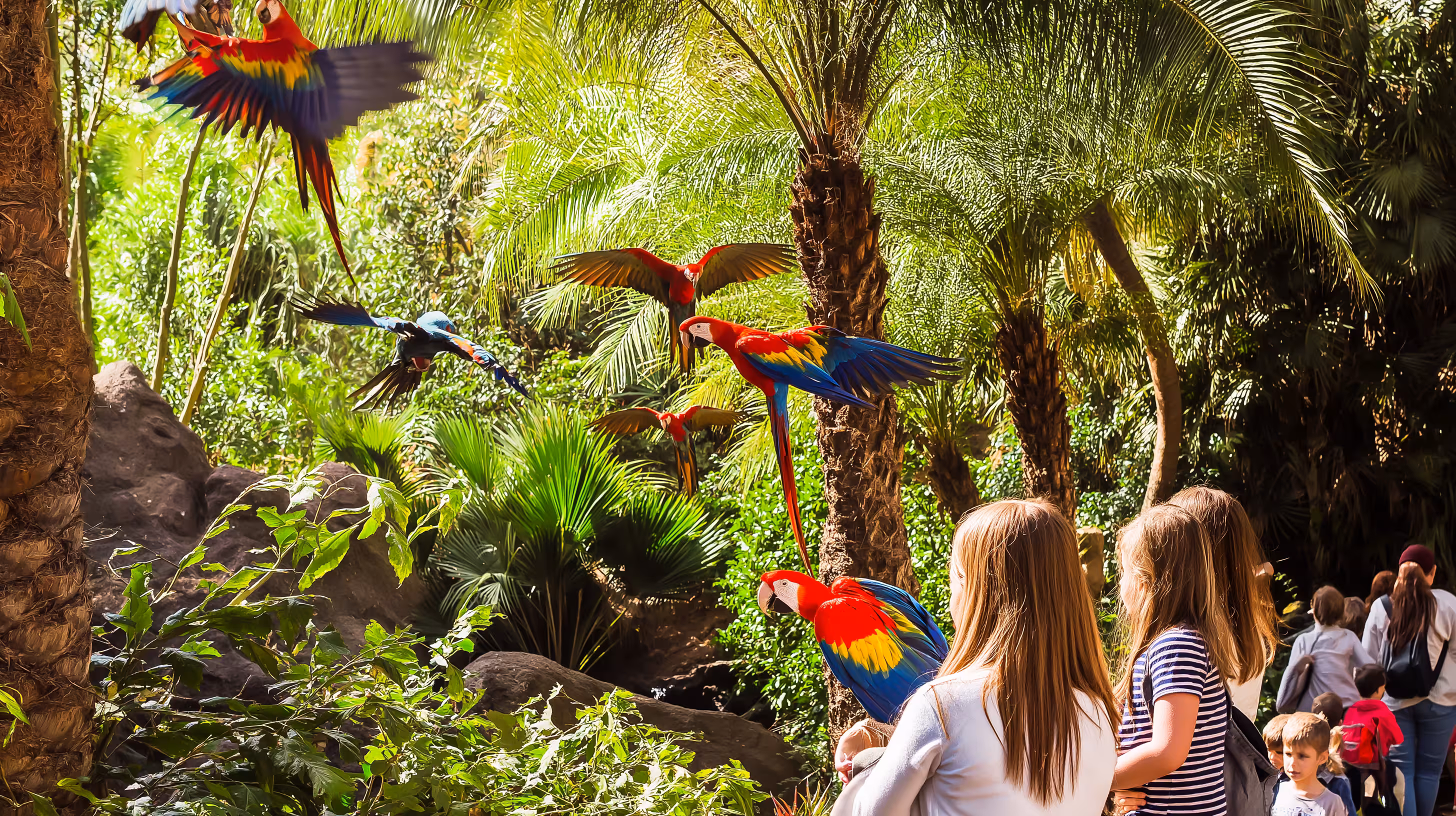 Визначні місця в - Тенерифе з дітьми: Парки розваг та вулканічні пригоди
